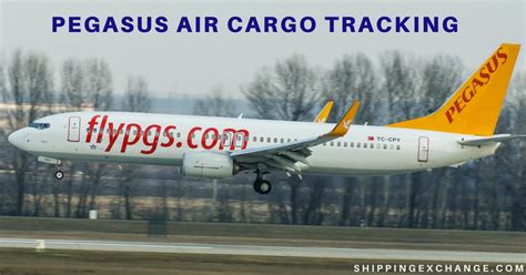 pegasus airline cargo tracking